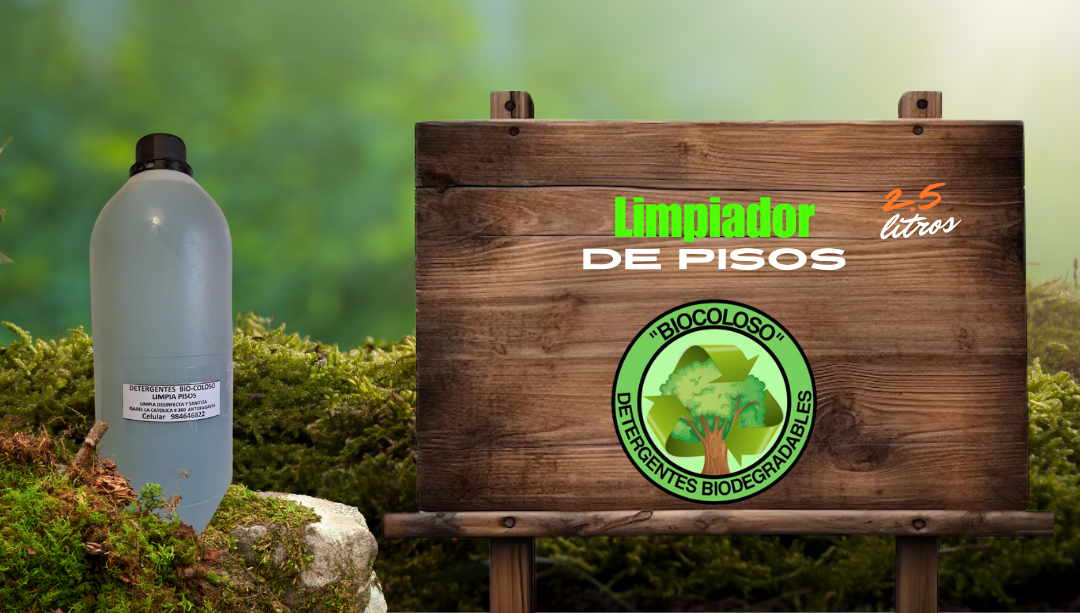 LIMPIADOR DE PISOS 1