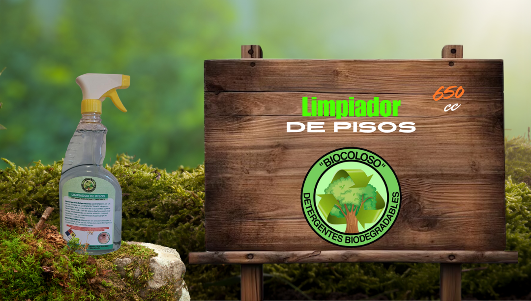 LIMPIADOR DE PISOS 2