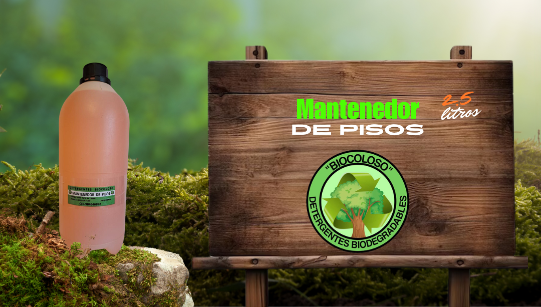 MANTENEDOR DE PISOS 1