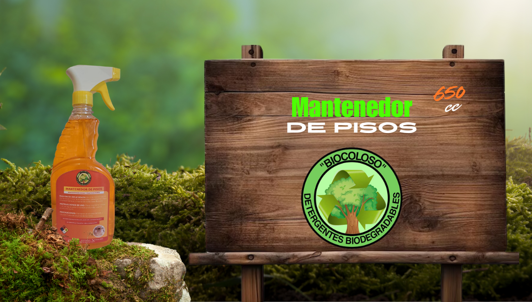 MANTENEDOR DE PISOS 2